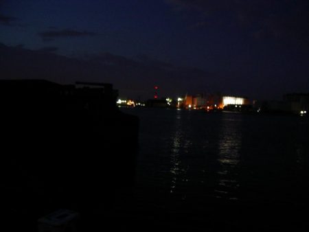 電気ウキで狙う夜釣りのフッコ